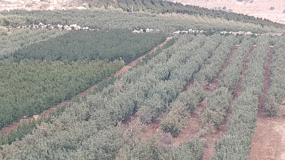 2017-10-16 13.47.42.jpg